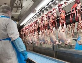 China diz que frango importado do Brasil testou positivo para o coronavirus