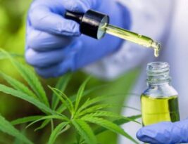 Anvisa libera novo medicamento à base de canabidiol