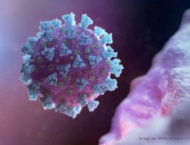 Temor de nova variante da Covid-19 derruba bolsas de valores no mundo todo