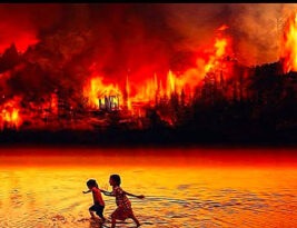 Em 20 anos, Brasil desmatou ‘3 Uruguais’ na Amazônia, Cerrado e Pantanal