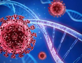 Butantan identifica nova variante recombinante da covid-19 em São Paulo