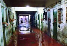 STF suspende indulto de Bolsonaro a policiais do massacre do Carandiru