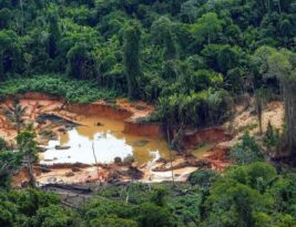 Espaço aéreo sobre Terra Yanomami será fechado a partir de 6 de abril