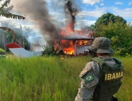 Operação do Ibama ‘asfixia’ garimpo ao destruir avião e trator em território Yanomami