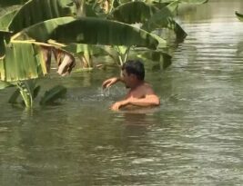 Açudes transbordam e agricultores colhem na água; já são 30 reservatórios sangrando na Paraíba