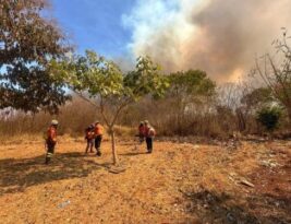 Incêndio atinge área próxima ao Parque Nacional e fumaça toma conta de Brasília