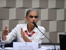 Brasil pode perder o Pantanal até o final do século, alerta Marina Silva em sessão no Senado