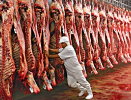 Brasil exporta carne para 168 mercados; China lidera ranking, com US$ 7 bilhões