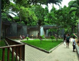 Bica é alvo de denúncias sobre roubo, morte de animais e assaltos