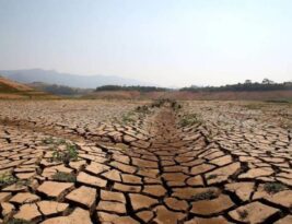 Governo Federal reconhece situação de emergência por estiagem em Camalaú, Remígio e São José do Sabugi