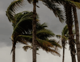 Meteorologia alerta para vendaval em cidades da Paraíba; ventos podem chegar a 60 km/h