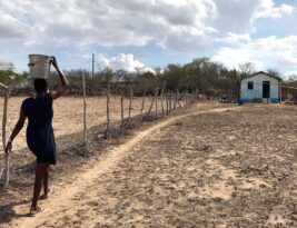 Mais13 municípios da Paraíba entram em situação de emergência por conta da estiagem