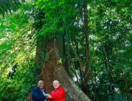 Meio Ambiente: Na Cúpula de Líderes, Lula lança fundo para as florestas