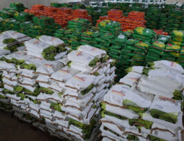 Governo da Paraíba distribui 520 toneladas de sementes com agricultores de todo Estado