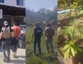 Polícia Civil encontra área preparada para plantio de maconha e prende dois por tráfico em Princesa Isabel